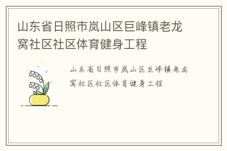 山東省日照市嵐山區(qū)巨峰鎮(zhèn)老龍窩社區(qū)社區(qū)體育健身工程