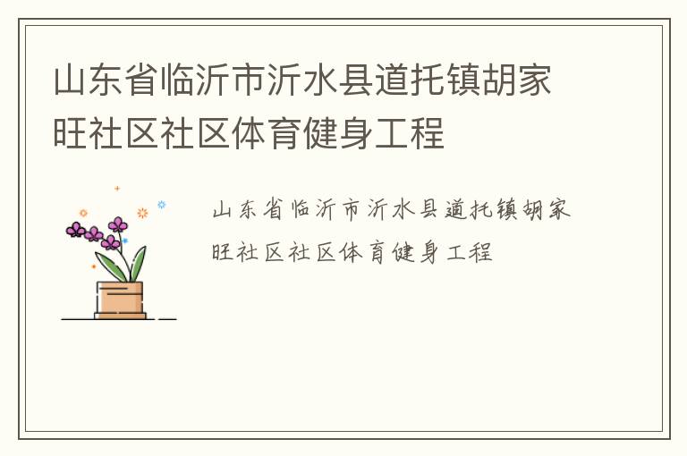 山東省臨沂市沂水縣道托鎮(zhèn)胡家旺社區(qū)社區(qū)體育健身工程