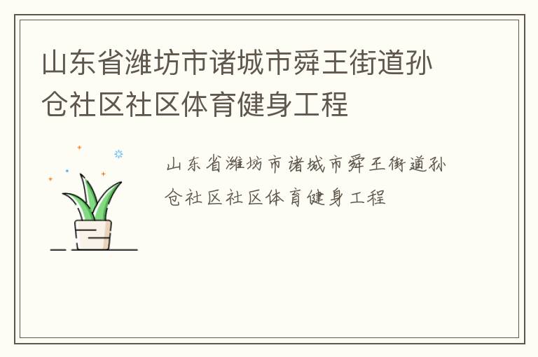 山東省濰坊市諸城市舜王街道孫倉(cāng)社區(qū)社區(qū)體育健身工程