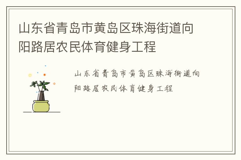 山東省青島市黃島區(qū)珠海街道向陽路居農(nóng)民體育健身工程