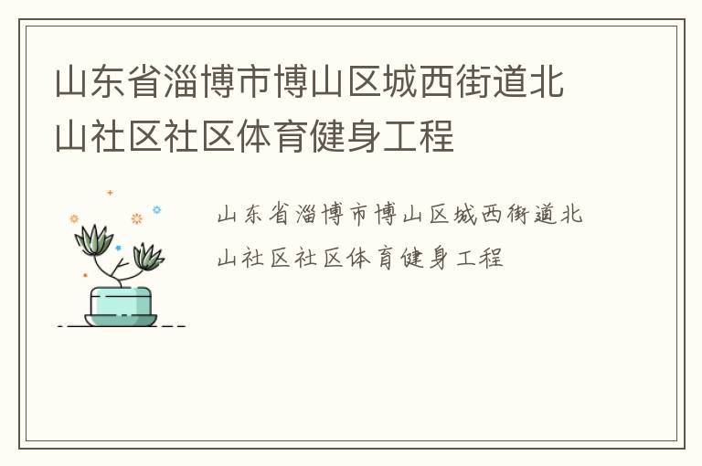 山東省淄博市博山區(qū)城西街道北山社區(qū)社區(qū)體育健身工程