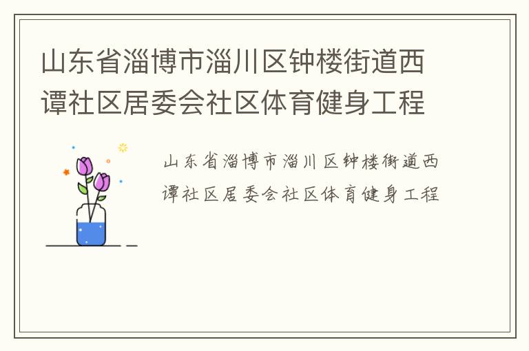 山東省淄博市淄川區(qū)鐘樓街道西譚社區(qū)居委會社區(qū)體育健身工程