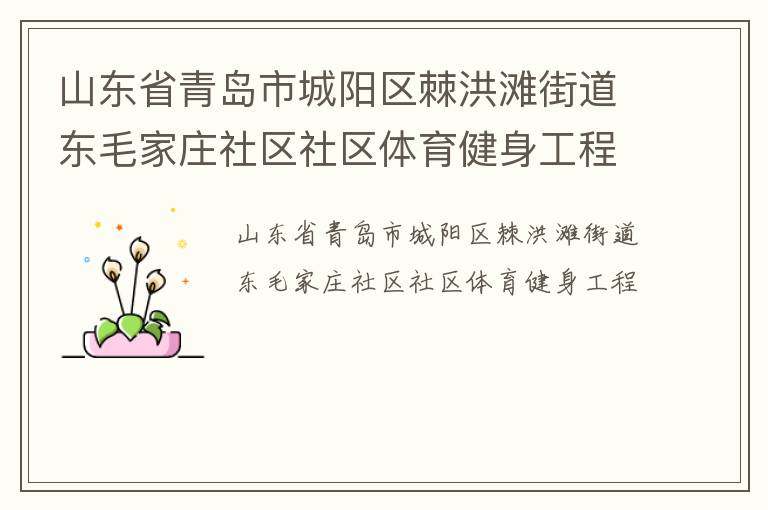 山東省青島市城陽(yáng)區(qū)棘洪灘街道東毛家莊社區(qū)社區(qū)體育健身工程