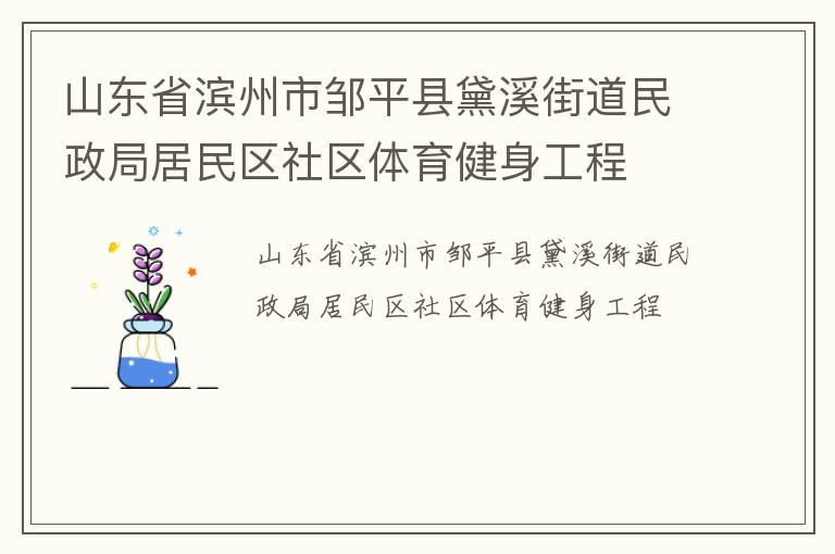 山東省濱州市鄒平縣黛溪街道民政局居民區(qū)社區(qū)體育健身工程