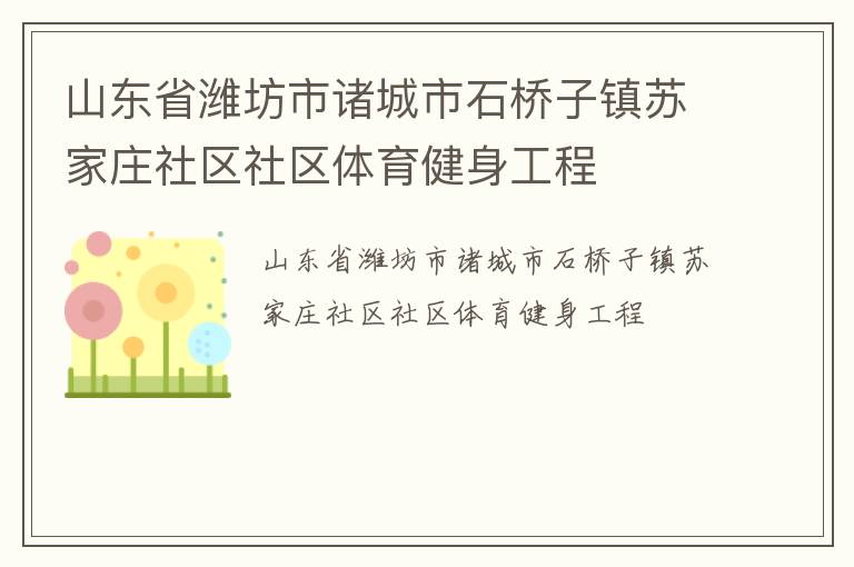 山東省濰坊市諸城市石橋子鎮(zhèn)蘇家莊社區(qū)社區(qū)體育健身工程