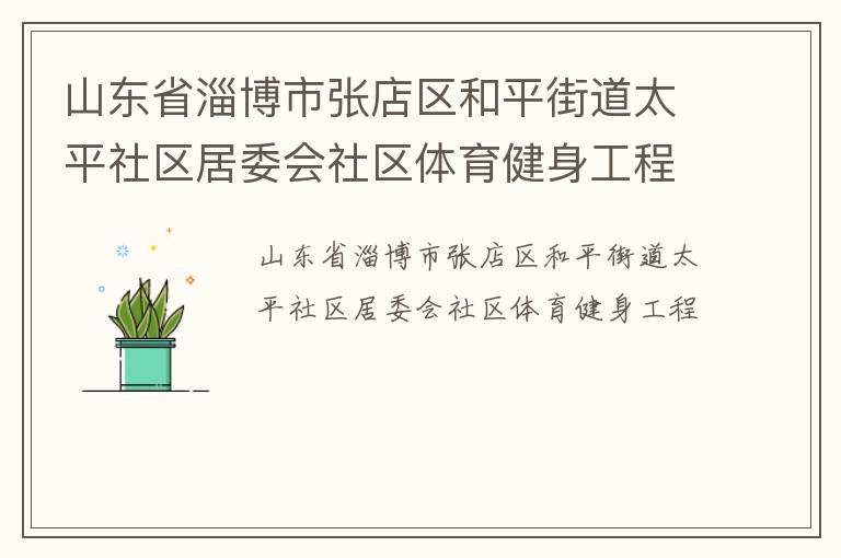 山東省淄博市張店區(qū)和平街道太平社區(qū)居委會(huì)社區(qū)體育健身工程