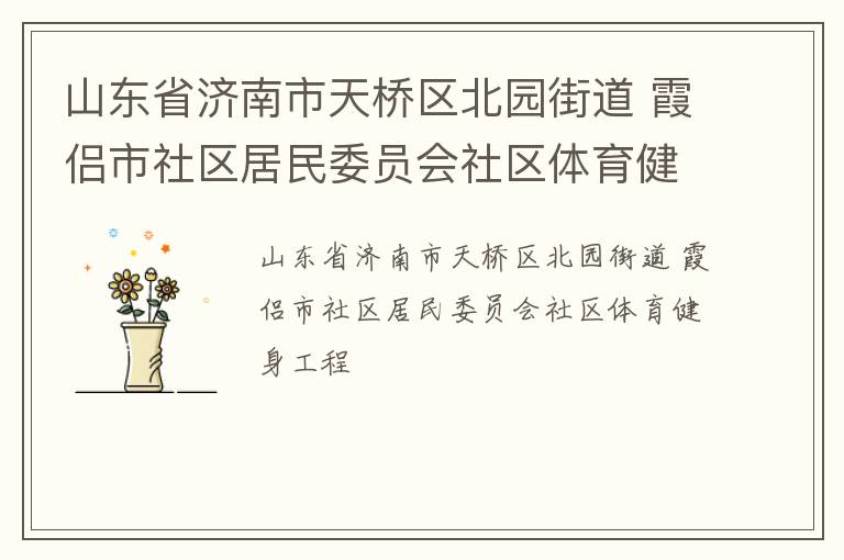 山東省濟(jì)南市天橋區(qū)北園街道 霞侶市社區(qū)居民委員會社區(qū)體育健身工程