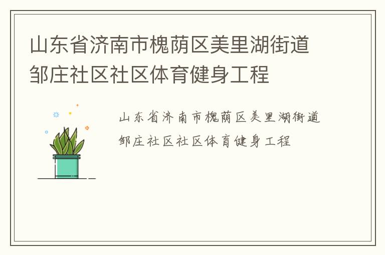 山東省濟(jì)南市槐蔭區(qū)美里湖街道鄒莊社區(qū)社區(qū)體育健身工程