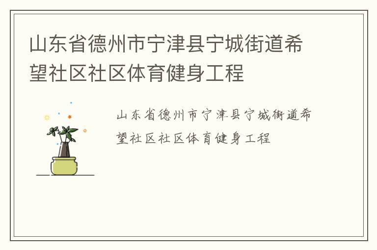 山東省德州市寧津縣寧城街道希望社區(qū)社區(qū)體育健身工程