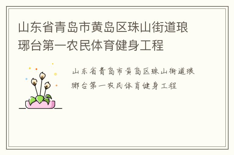 山東省青島市黃島區(qū)珠山街道瑯琊臺第一農民體育健身工程