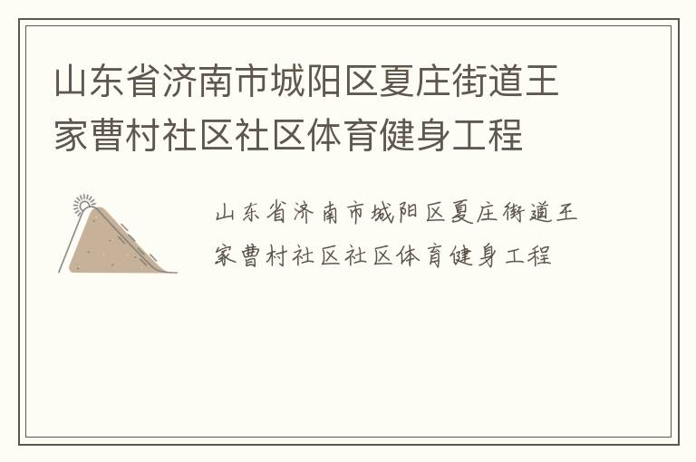 山東省濟(jì)南市城陽(yáng)區(qū)夏莊街道王家曹村社區(qū)社區(qū)體育健身工程