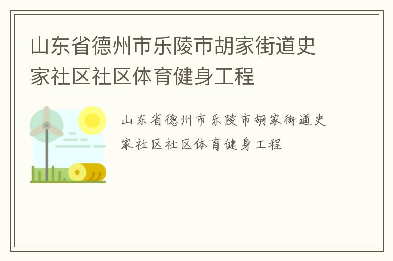 山東省德州市樂陵市胡家街道史家社區(qū)社區(qū)體育健身工程