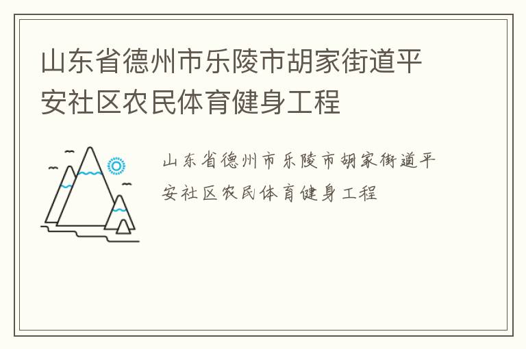 山東省德州市樂(lè)陵市胡家街道平安社區(qū)農(nóng)民體育健身工程