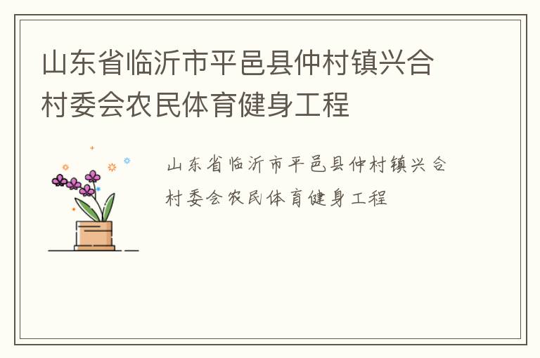山東省臨沂市平邑縣仲村鎮(zhèn)興合村委會農(nóng)民體育健身工程