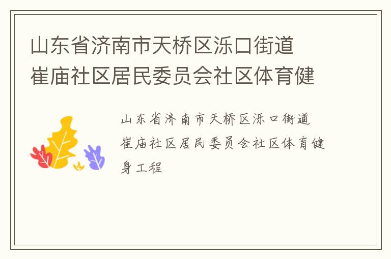 山東省濟南市天橋區(qū)濼口街道  崔廟社區(qū)居民委員會社區(qū)體育健身工程