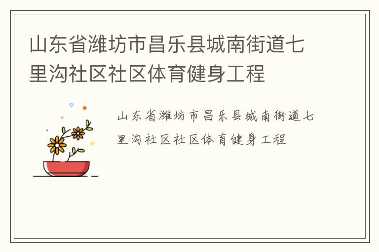 山東省濰坊市昌樂(lè)縣城南街道七里溝社區(qū)社區(qū)體育健身工程