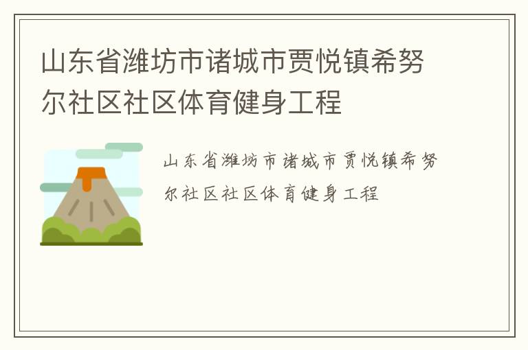 山東省濰坊市諸城市賈悅鎮(zhèn)希努爾社區(qū)社區(qū)體育健身工程