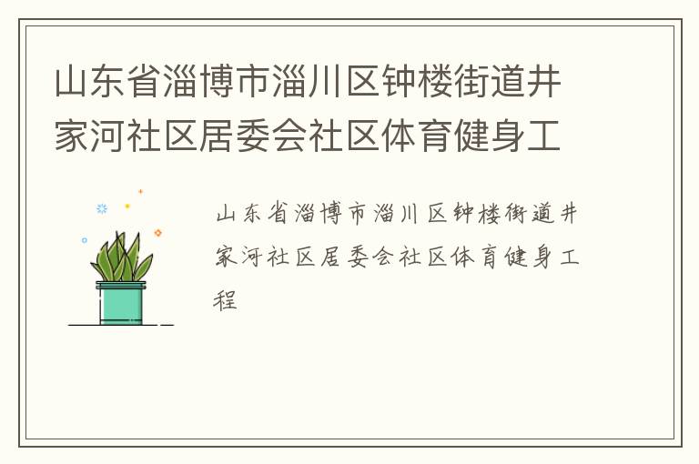 山東省淄博市淄川區(qū)鐘樓街道井家河社區(qū)居委會社區(qū)體育健身工程
