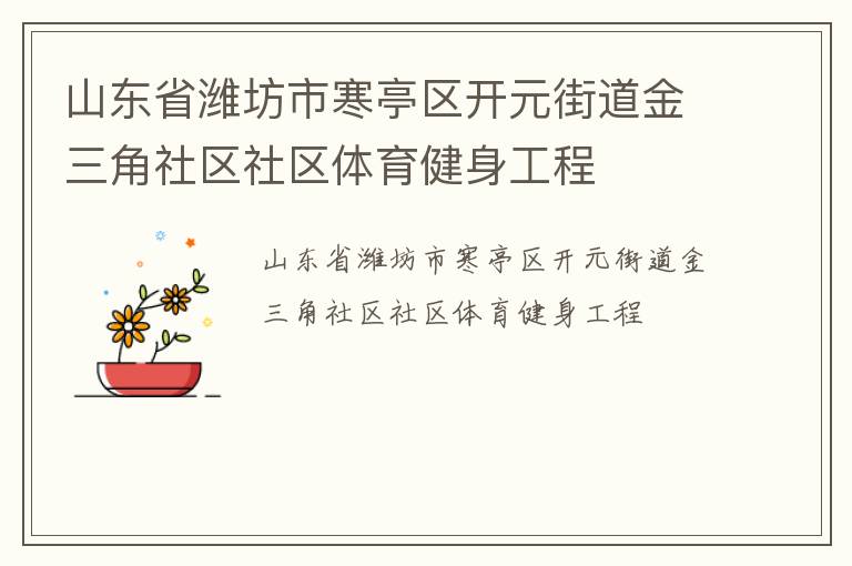 山東省濰坊市寒亭區(qū)開元街道金三角社區(qū)社區(qū)體育健身工程