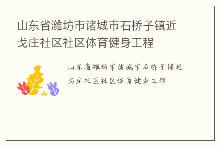 山東省濰坊市諸城市石橋子鎮(zhèn)近戈莊社區(qū)社區(qū)體育健身工程