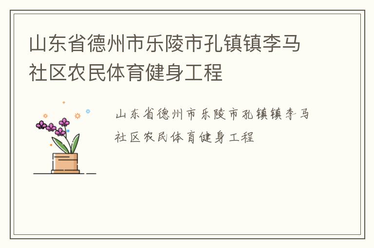 山東省德州市樂(lè)陵市孔鎮(zhèn)鎮(zhèn)李馬社區(qū)農(nóng)民體育健身工程