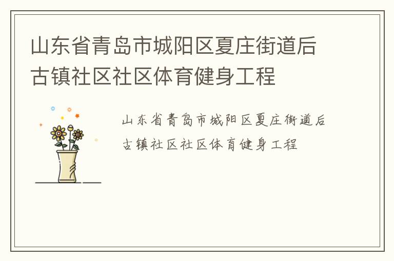山東省青島市城陽區(qū)夏莊街道后古鎮(zhèn)社區(qū)社區(qū)體育健身工程