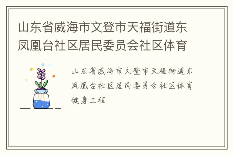 山東省威海市文登市天福街道東鳳凰臺社區(qū)居民委員會社區(qū)體育健身工程