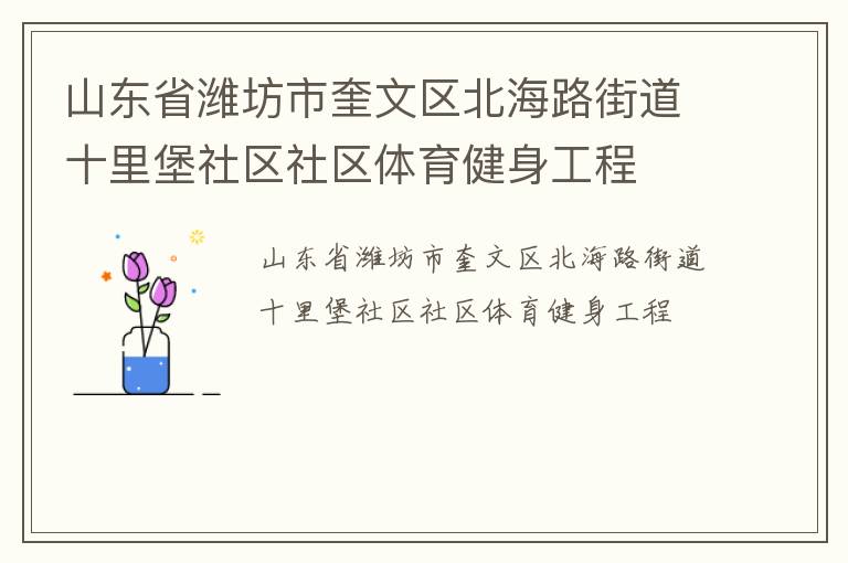 山東省濰坊市奎文區(qū)北海路街道十里堡社區(qū)社區(qū)體育健身工程