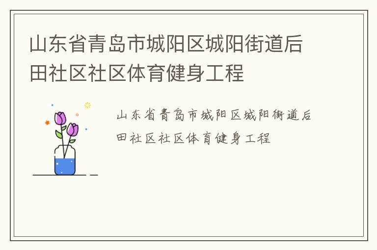 山東省青島市城陽(yáng)區(qū)城陽(yáng)街道后田社區(qū)社區(qū)體育健身工程