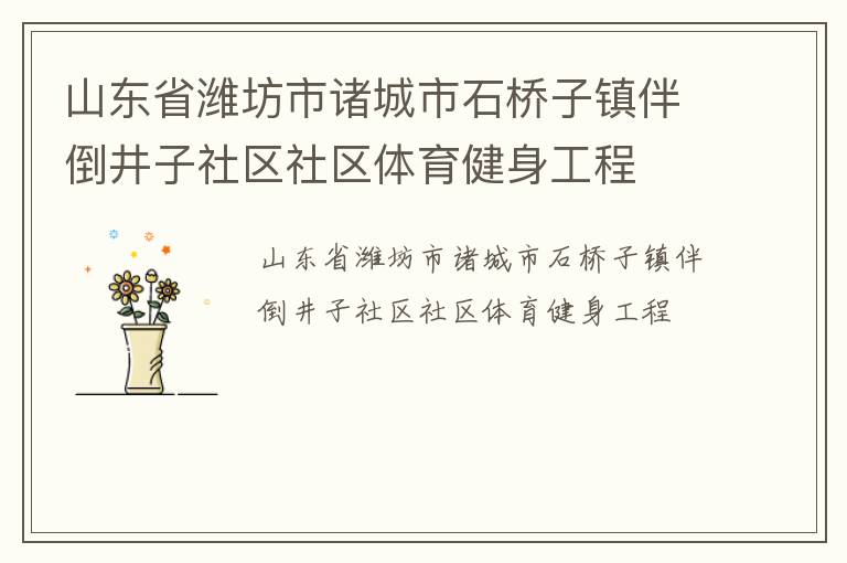 山東省濰坊市諸城市石橋子鎮(zhèn)伴倒井子社區(qū)社區(qū)體育健身工程