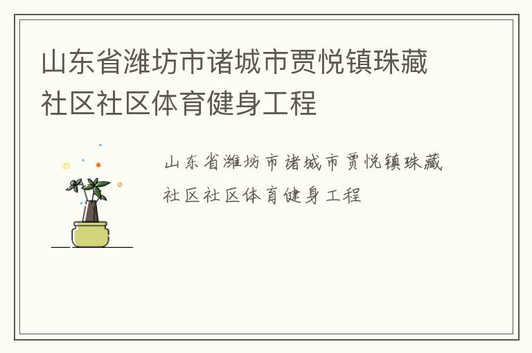 山東省濰坊市諸城市賈悅鎮(zhèn)珠藏社區(qū)社區(qū)體育健身工程