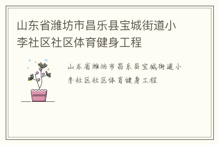 山東省濰坊市昌樂(lè)縣寶城街道小李社區(qū)社區(qū)體育健身工程