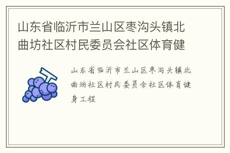 山東省臨沂市蘭山區(qū)棗溝頭鎮(zhèn)北曲坊社區(qū)村民委員會社區(qū)體育健身工程