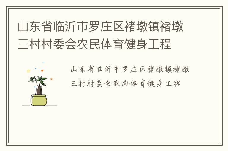 山東省臨沂市羅莊區(qū)褚墩鎮(zhèn)褚墩三村村委會農民體育健身工程