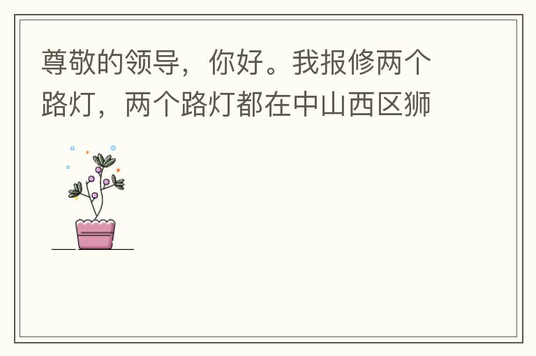 尊敬的領(lǐng)導，你好。我報修兩個路燈，兩個路燈都在中山西區(qū)獅滘口大橋。1.富華往濱江一號，下橋倒數(shù)第二支路燈已經(jīng)損壞。 2.濱江一號往富華方向，下橋最后一支路燈已經(jīng)損壞。麻煩及時修復，減少意外的發(fā)生。謝謝