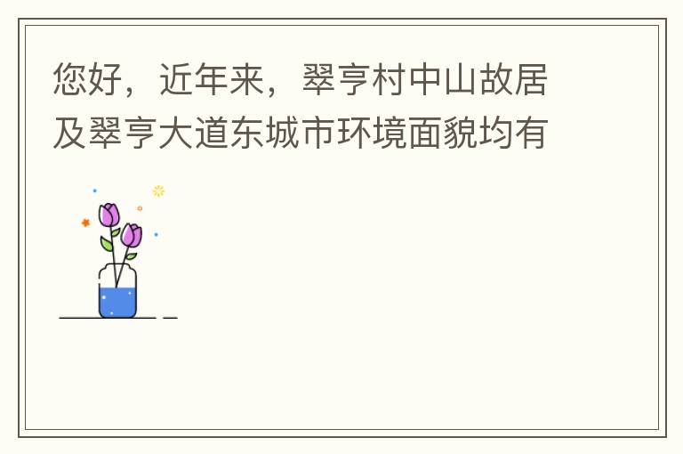 您好，近年來，翠亨村中山故居及翠亨大道東城市環(huán)境面貌均有所提升。但周邊環(huán)境仍然不夠理想，稍顯臟亂差，與5A風(fēng)景區(qū)的定位不相協(xié)調(diào)，望繼續(xù)盡快改善為宜。多謝