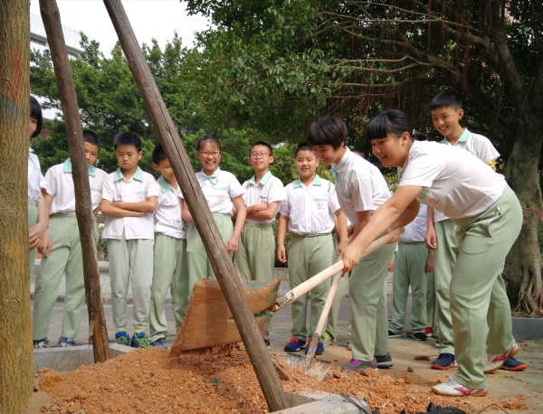 六5畢業(yè)樹種植 (4).jpg