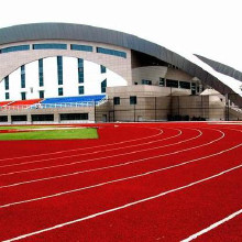 利達(dá)廠家供應(yīng)、混合型塑膠跑道施工、復(fù)合型塑膠跑道材料廠家