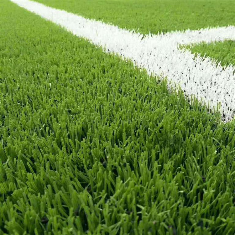 勝鑫 <a href=http://www.wwwyw99966.com target=_blank class=infotextkey>塑膠跑道</a>定制<a href=http://www.wwwyw99966.com target=_blank class=infotextkey>塑膠跑道</a>