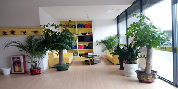 廣東省忠武跆拳道俱樂部