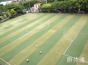 夏園足球場(chǎng)