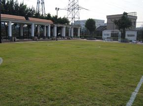 茶滘街葵蓬社區(qū)足球場(chǎng)