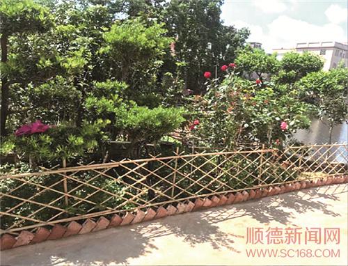 區(qū)城鄉(xiāng)品質(zhì)提升攻堅(jiān)隊(duì)以督導(dǎo)推動(dòng)問(wèn)題整改