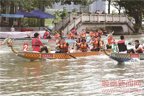 順德區(qū)政協(xié)委員龍舟文化體驗活動順利開展