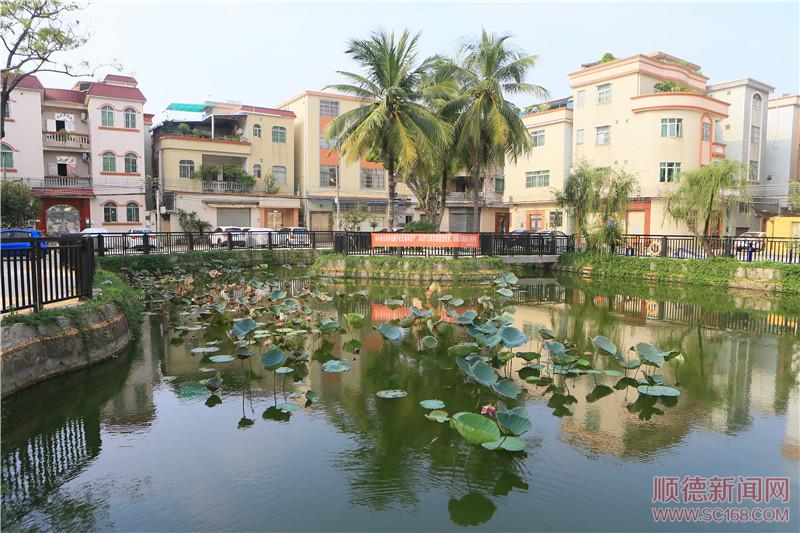 容桂南區(qū)社區(qū)持續(xù)提升人居環(huán)境，社區(qū)面貌展新顏