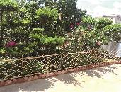 區(qū)城鄉(xiāng)品質(zhì)提升攻堅(jiān)隊(duì)以督導(dǎo)推動(dòng)問(wèn)題整改