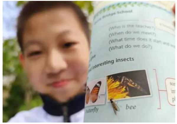 后生可畏！又有學生發(fā)現(xiàn)教科書錯誤，這次是上海10后！