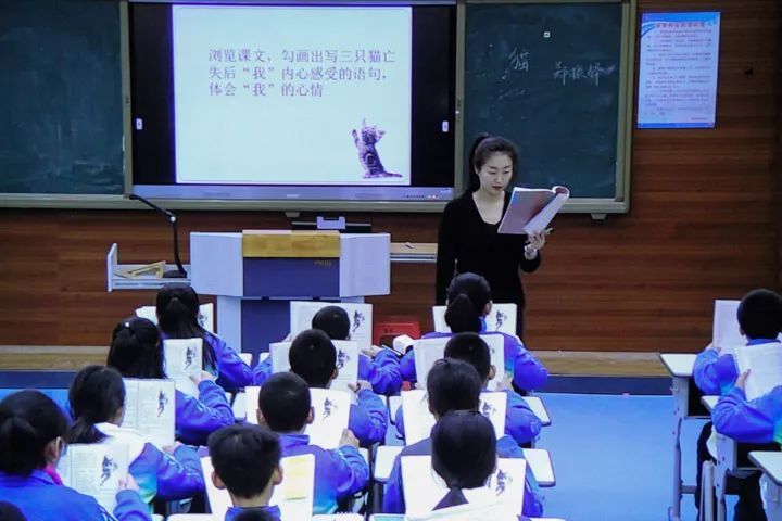 語(yǔ)文怪象：學(xué)的是草船借箭，考的卻是赤壁之戰(zhàn)，考得越廣學(xué)得越淺