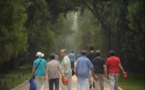 開放三胎政策“遇冷”，廈大教授提議：不生孩子就下調(diào)養(yǎng)老金