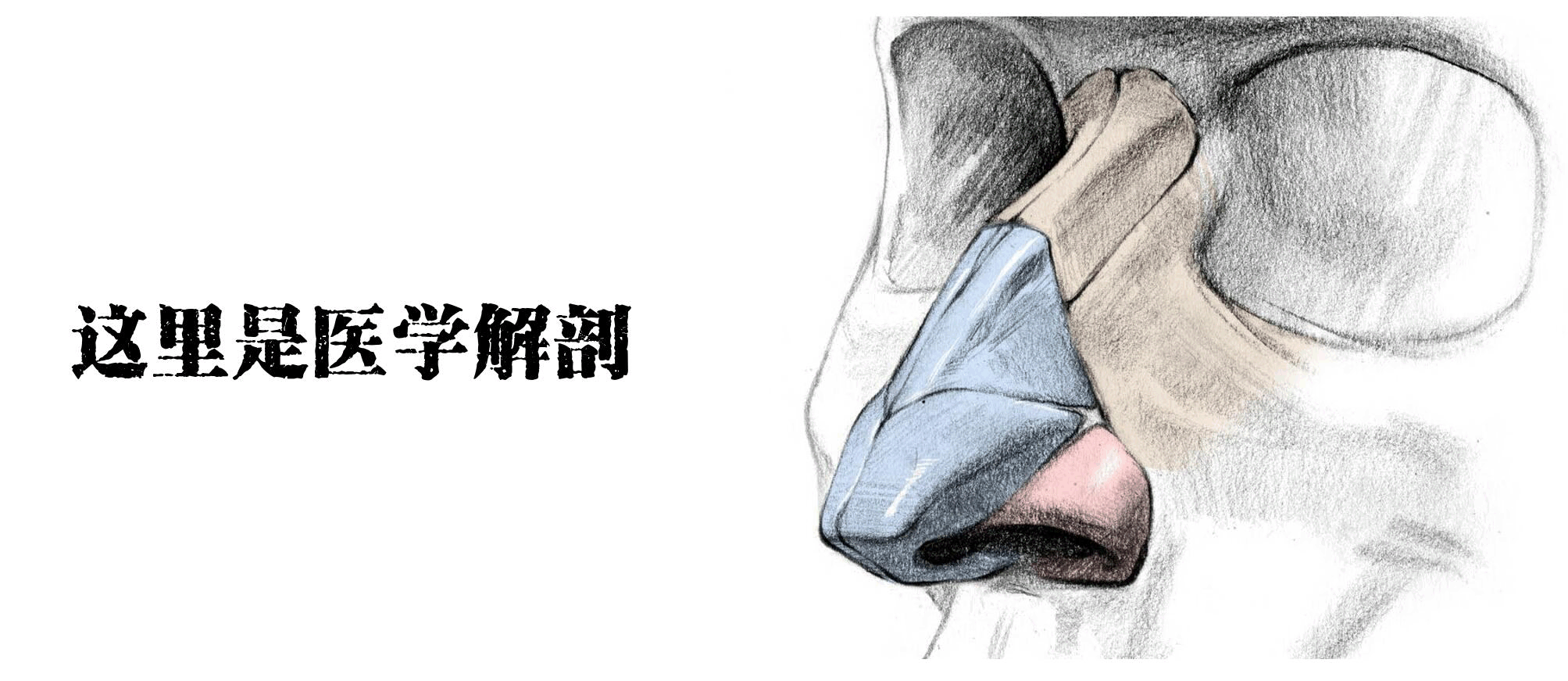 醫(yī)學(xué)生的考試到底有多難？看把學(xué)生都逼成啥樣了